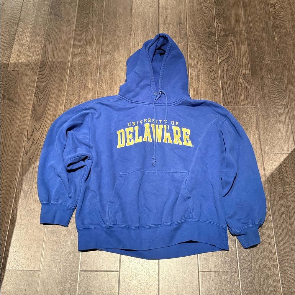 Delaware Blue Men's Hoodie